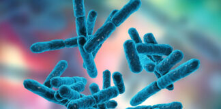 Probiotics & Prebiotics: Bacteria That Keep Your Body Healthy Probiotic Benefits