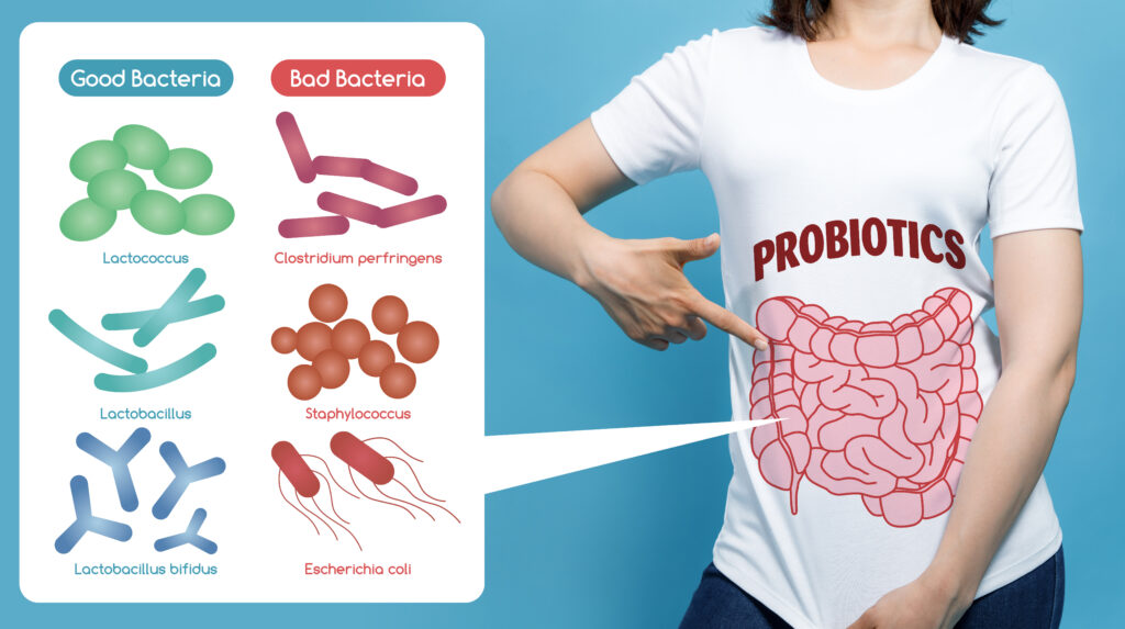Good Vs, Bad Probiotics Bacteria